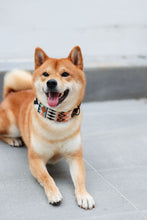 Load image into Gallery viewer, Salawin Collar
