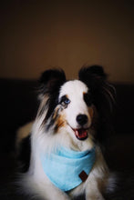 Load image into Gallery viewer, Linen Bandana: Blue Sky
