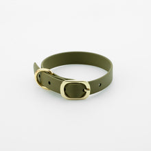 Load image into Gallery viewer, Biothane: 20 mm Buckle Collar
