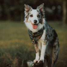 Load image into Gallery viewer, Linen bandana: Pine Green
