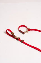 Load image into Gallery viewer, Model leash: Multi leash Red &amp; Pecan
