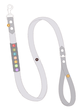 Load image into Gallery viewer, Biothane: Rainbow Leash (3/4&quot;)
