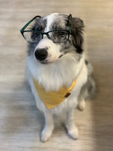 Load image into Gallery viewer, Linen bandana: Sandy Yellow
