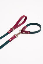 Load image into Gallery viewer, Biothane: Slip Collar (3/4&quot;)
